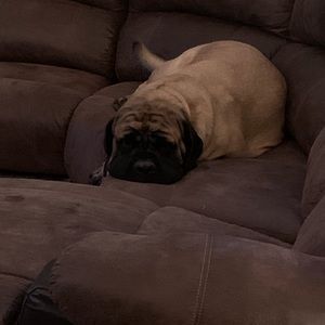 Meet your Posher, Scott